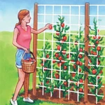 Flexible Heavy Duty Nylon Garden Trellis Netting. Fixed Price $24.99.