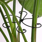 Yohsnor Black Monstera Plant Support Hook - 5PC Set, 6.5" Metal Trellis. Fixed Price $26.98.