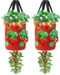 Miewslan 2 Packs Upside Down Planter, Garden Hanging Strawberry Tomato Green. Fixed Price $19.76.