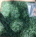 Uland Artificial Wall Garden Privacy Screen Fence. Fixed Price $28.50.