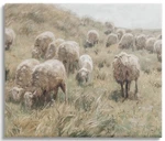 New Stupell Industries Rural Cattle Grazing Field Canvas Wall 16X20. Fixed Price $14.00.