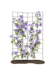 2-PANEL Folding Garden Trellis Maximize Your Space, Durable Powder C.... Fixed Price $84.85.