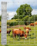 5FT X 328FT Galvanized Wire Fence , Farm Pasture Fencing Poultry Netting Cattle. Fixed Price $145.99.