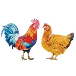 Collections Etc Realistic Hen And Rooster Iron Garden Stakes - Of 2. Fixed Price $34.99.