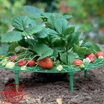 Iceyyyy 5PK Strawberry Plant Support Racks, Keep Berries Clean, Sturdy Legs. Fixed Price $27.99.