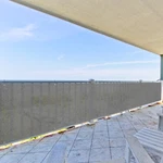 15' 25' 50' Privacy Deck Fence Screen Shade Cover Balcony Patio Yard Beach Gray. Fixed Price $25.99.