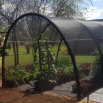 60% Uv Resistant Shade Cloth For Plants Garden Greenhouse Net Mesh With Grommets. Fixed Price $39.59.