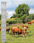 Garvee 15-GAUGE Galvanized Wire Mesh Roll, Rust-resistant Fence For Garden. Fixed Price $109.03.