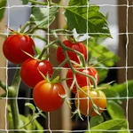 Plant Trellis Netting Heavy Duty Polyester 30FT X White Ptw Tcamp. Fixed Price $20.00.