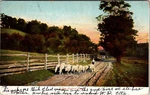 1906 New England Road Antique Postcard Flock Of Sheep Split Rail Fence Country. Fixed Price $9.99.