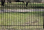 Solid Wrought Iron Fence Panels With 6" Rings(delivery Details Below). Fixed Price $330.00.