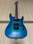 Grassroots G-horizon-fx Stb Electric Guitar With Strings Safe Delivery From Japa. Fixed Price $546.85.