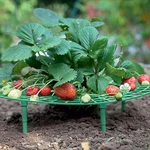 Iceyyyy 5 Pack Strawberry Plant Support - Growing Racks With 4 Sturdy. Fixed Price $20.95.