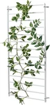 Wall Mounted Outdoor White Metal Hanging Support Frame, Horizontal Bars Trellis. Fixed Price $59.99.
