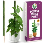 Duspro 42 Mesh Moss Pole For Climbing Plants, Natural. Fixed Price $27.69.