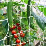 Trellis Netting, Canagrow Heavy-duty Garden Plant For Climbing. Fixed Price $18.89.
