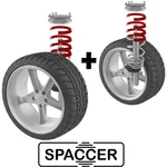 Lift With Ny-trex Springs And Spacer,. Fixed Price $317.07.