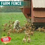 Glikceil Chicken Wire 48"X200FT Green 1 Inch Mesh Garden Fencing. Fixed Price $172.99.