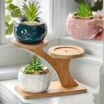 3-TIER Bamboo Plant Stand Stylish Indoor Succulent Shelf For Home & Office. Fixed Price $41.99.