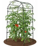 Baxam Garden Trellis Arch For Climbing Plants 33"L 33"W 79"H, Black. Fixed Price $84.99.