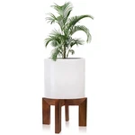 Wood Stand Indoor/outdoor For Plants, Large Size Planter Holder,s.... Fixed Price $25.04.